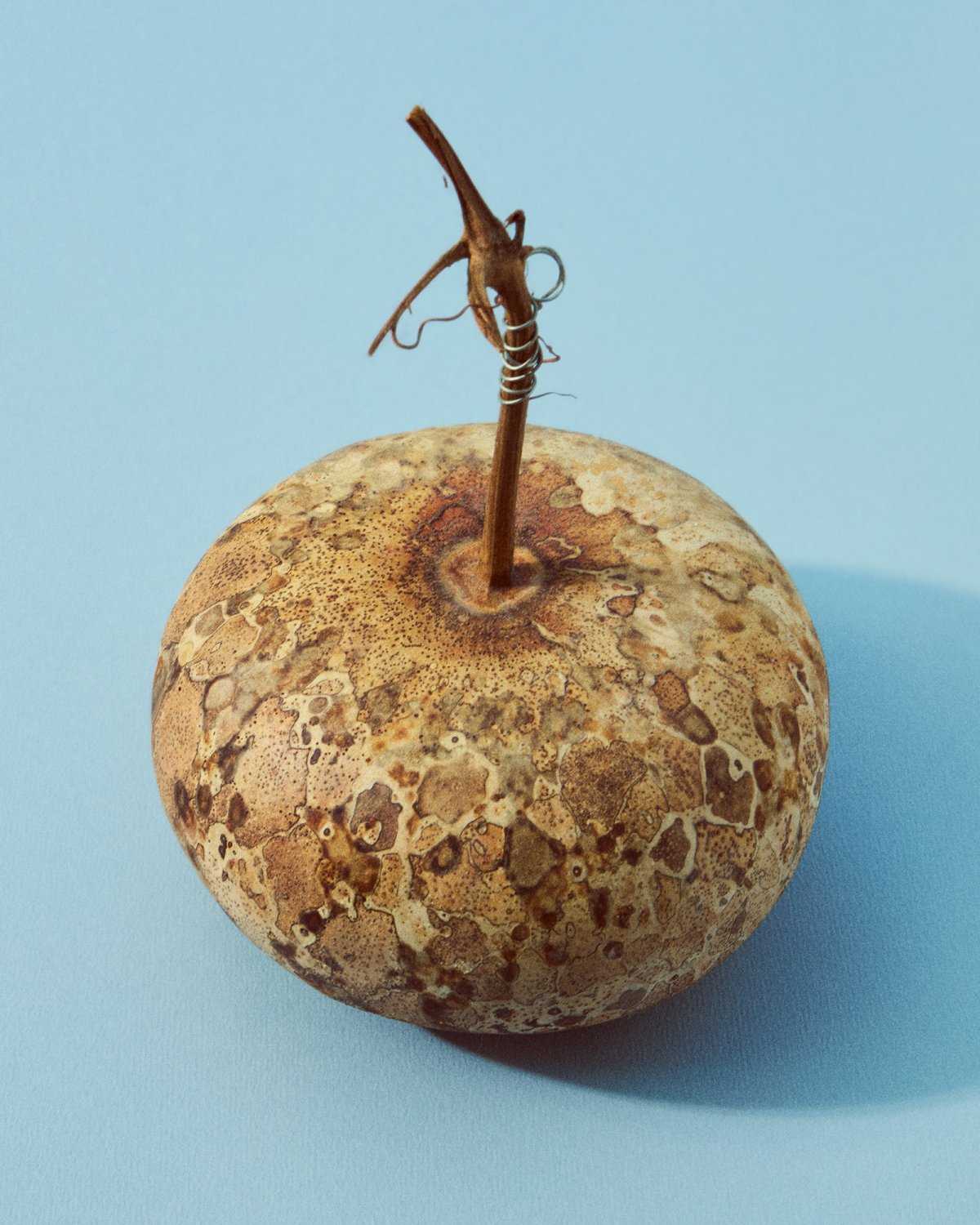 Fanfaretti Magazine-6