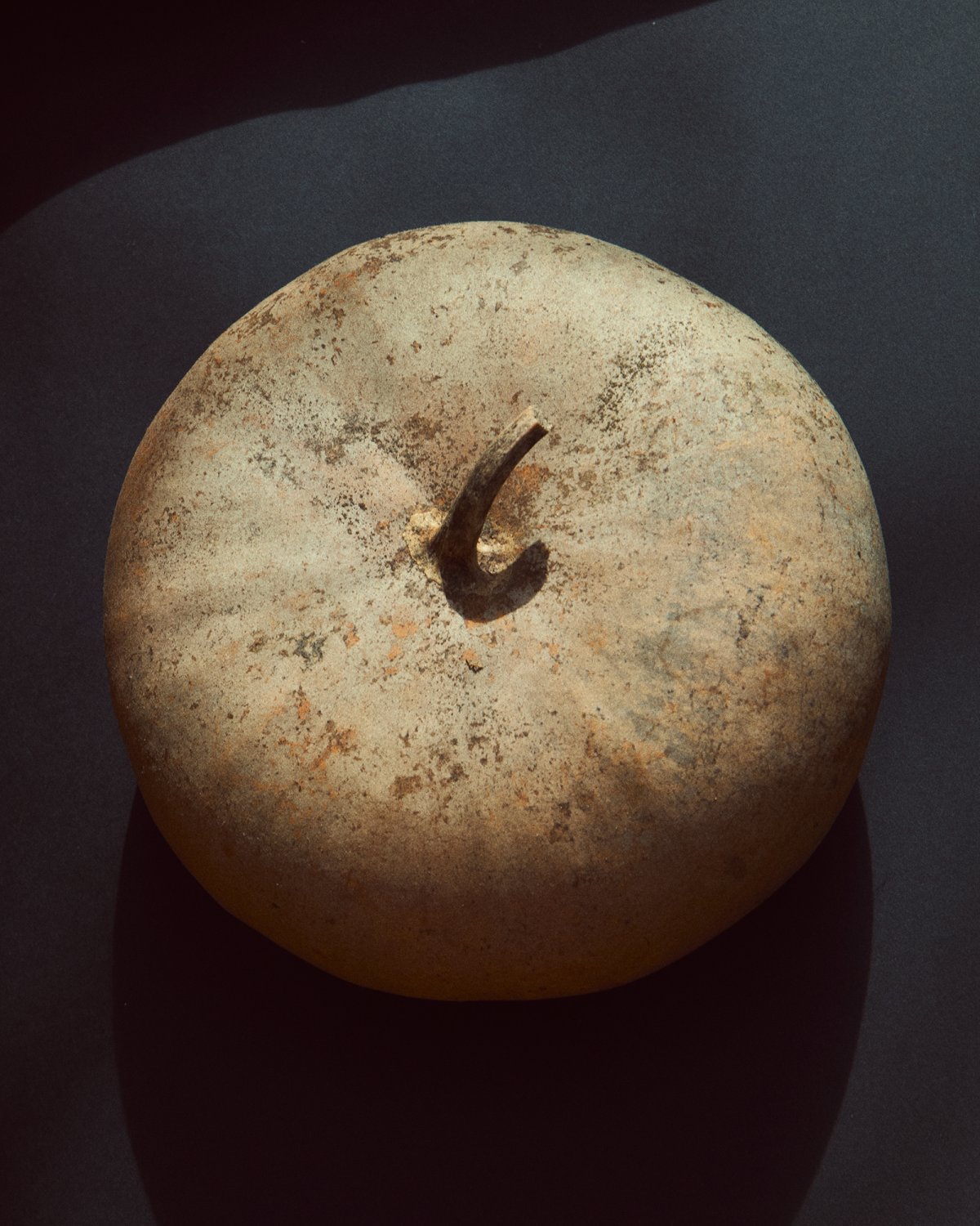 Fanfaretti Magazine-5