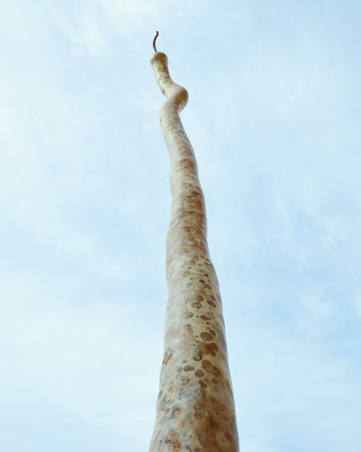 Fanfaretti Magazine-11