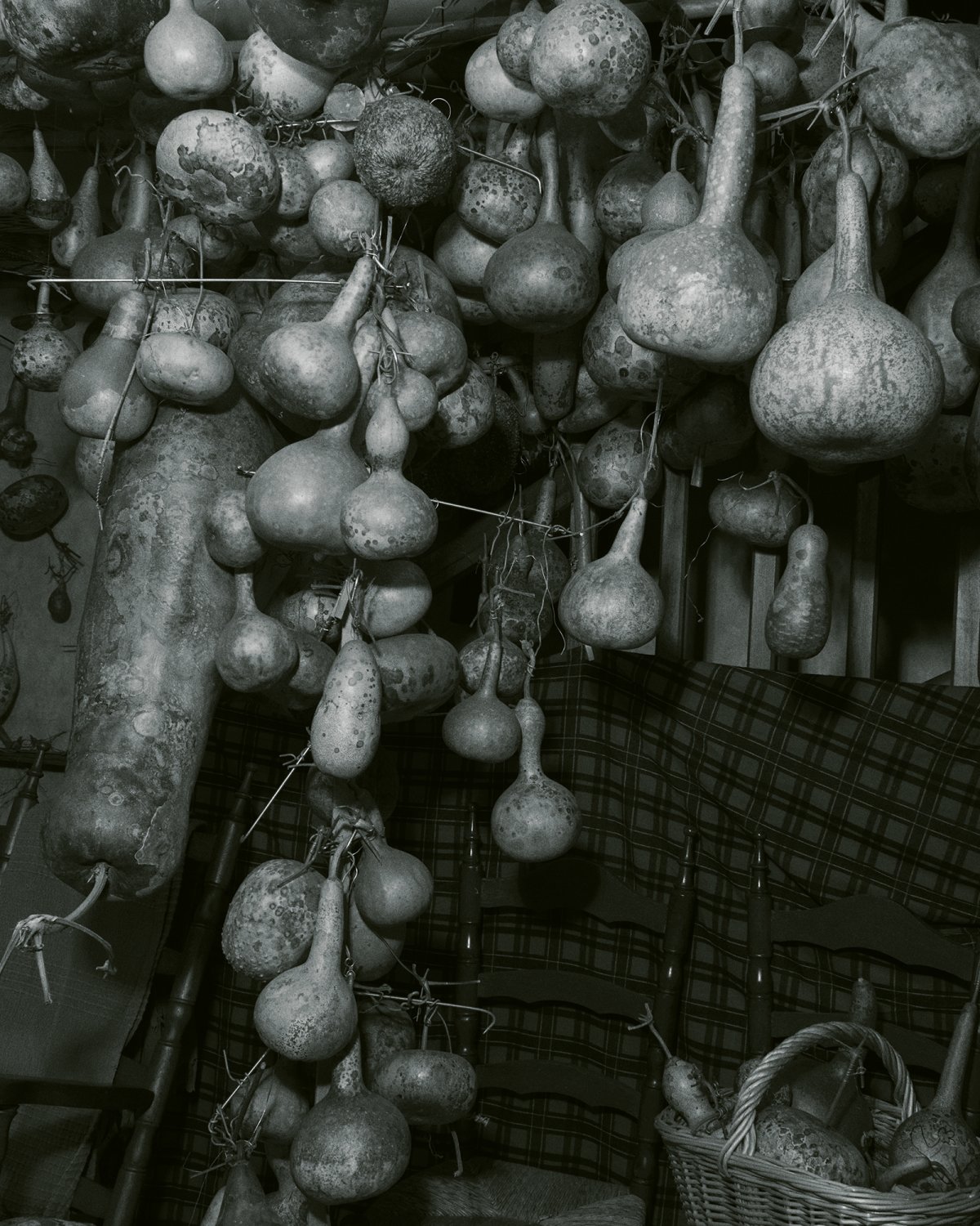 Fanfaretti Magazine-15